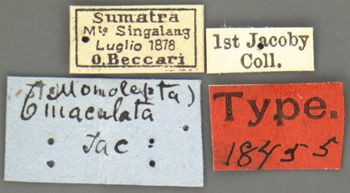 Media type: image;   Entomology 18455 Aspect: labels